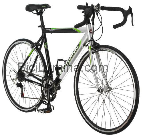 Schwinn Axios ficha técnica y opiniones